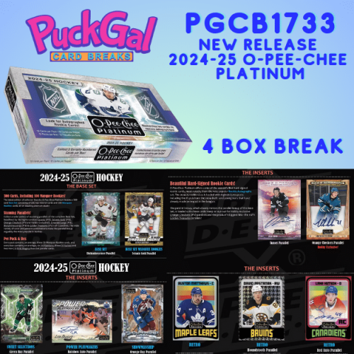 Hockey Card Break PGCB1733