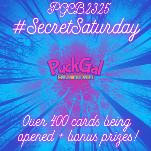 Hockey Card Break PGCB2325